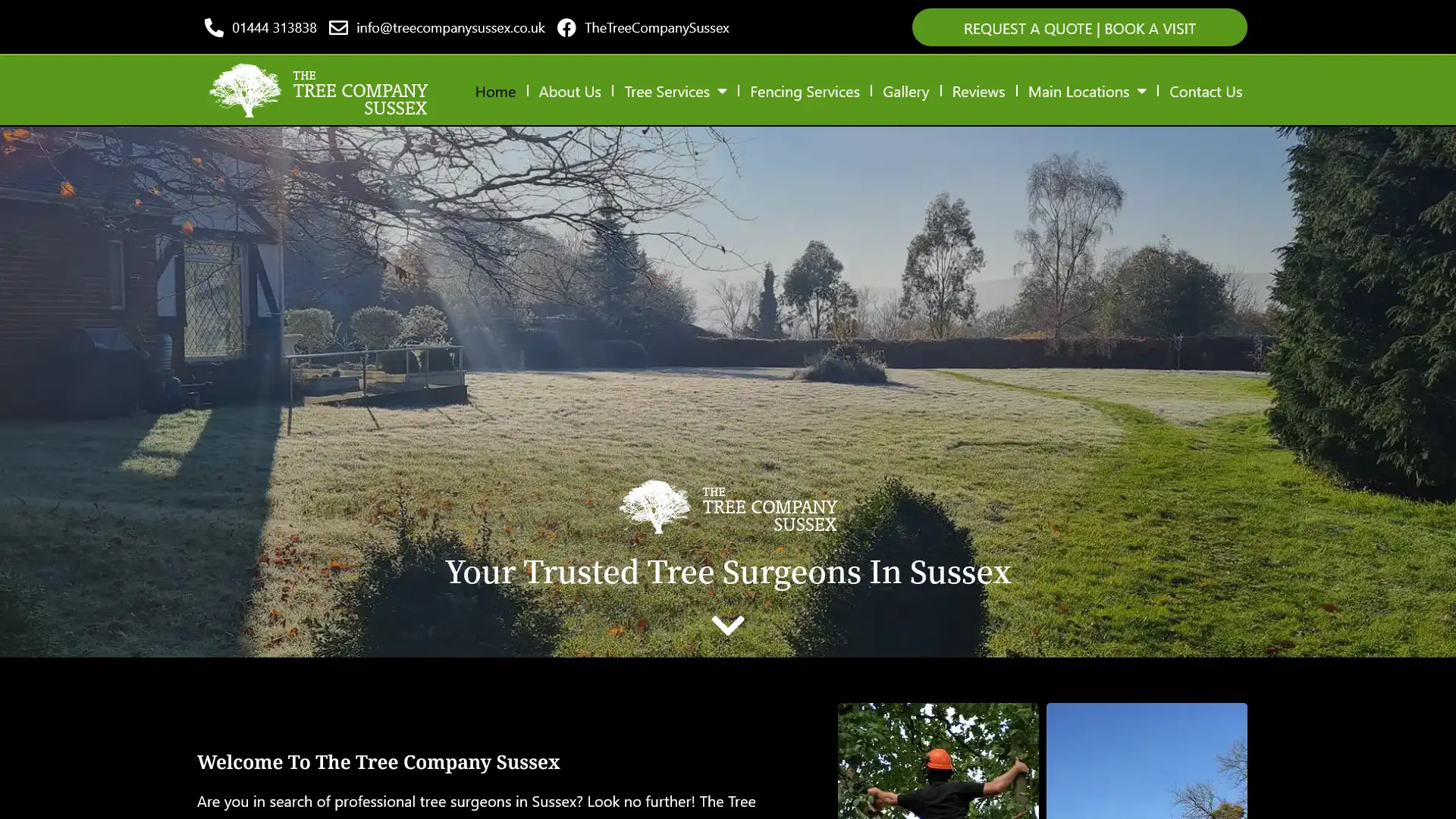 The Tree Company Sussex